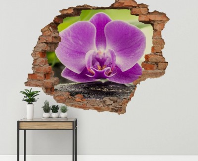 zen-stones-and-orchid-purple