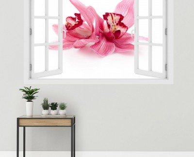 pink-cymbidium-orchids-flower-nature