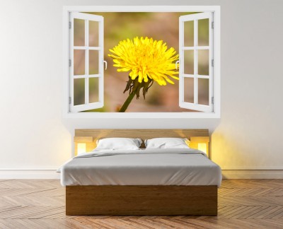 dandelion-close-up-floral-spring-meadow