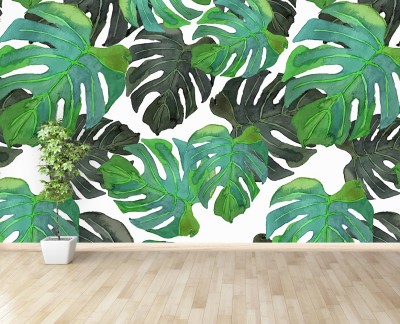 monstera-leafs