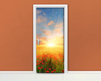 poppy-seed-meadow-sunset-spring-summer-green